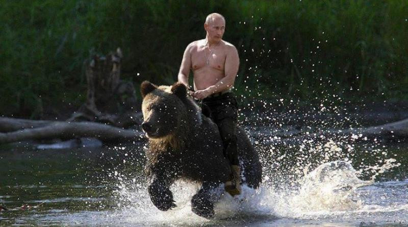 ForPost - Новости : Путин прокомментировал свое фото верхом на медведе