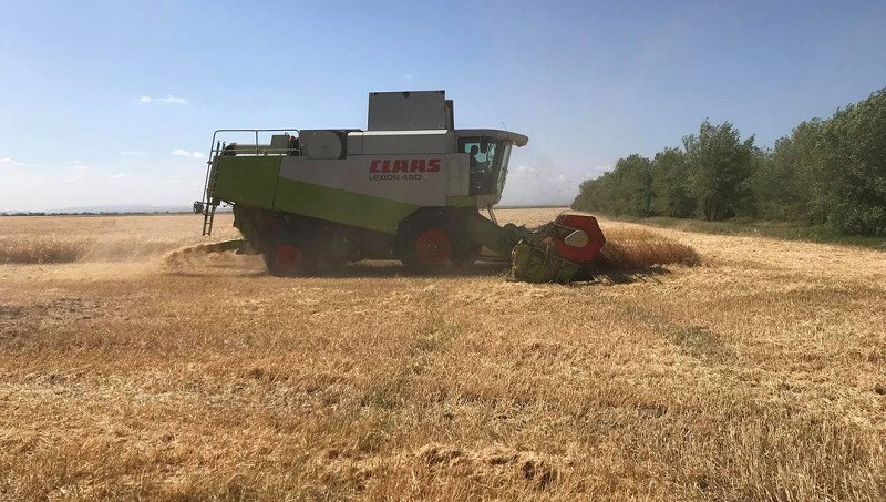ForPost - Новости : До 400 миллионов выросли убытки сельхозпроизводителей в Крыму
