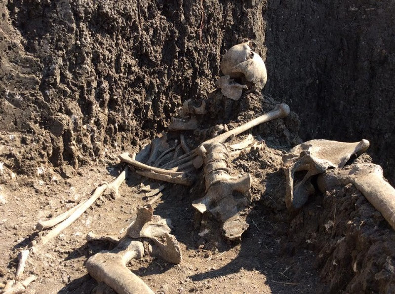 ForPost - Новости : Археологи обнаружили возле Керчи «братскую могилу» времён Средневековья