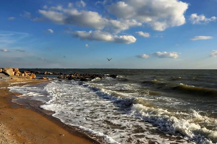 На Украине придумали, как "вернуть" Азовское море На Украине придумали, как "вернуть" Азовское море