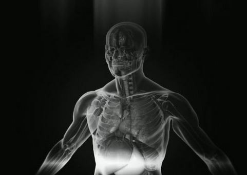 ForPost - Новости : Изобретен сканер всего тела, создающий изображение за секунды