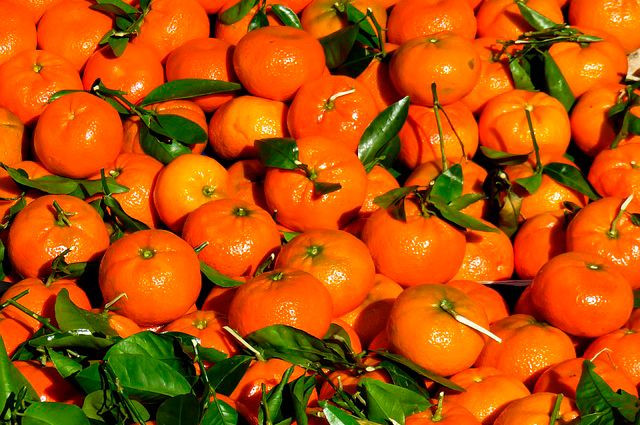 ForPost - Новости : Россельхознадзор запретил ввоз 128 тонн апельсинов и мандаринов из Турции
