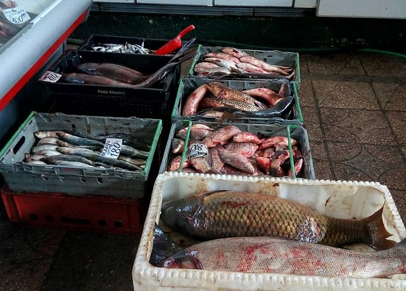 ForPost - Новости : Симферопольцам хотели скормить тонны поганой рыбы