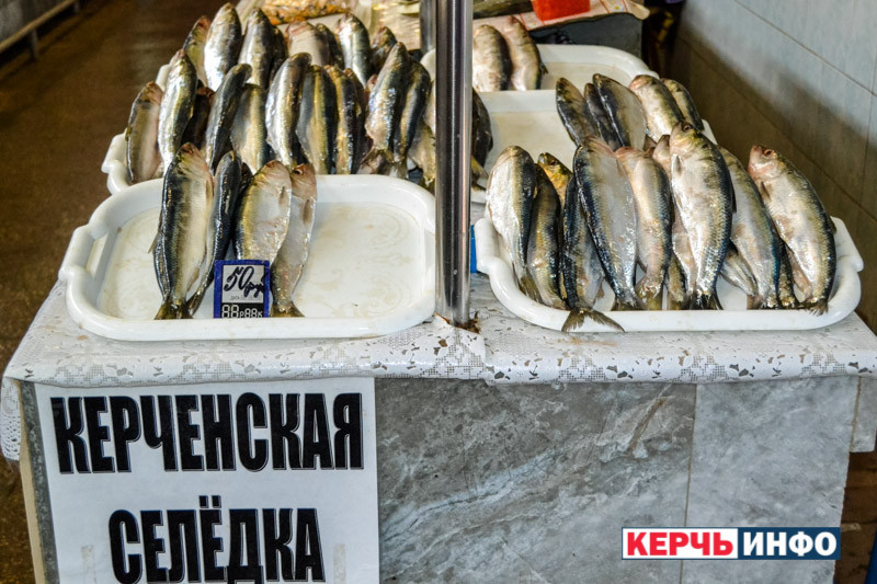 ForPost - Новости : Крымские рыбаки установили селедочный рекорд
