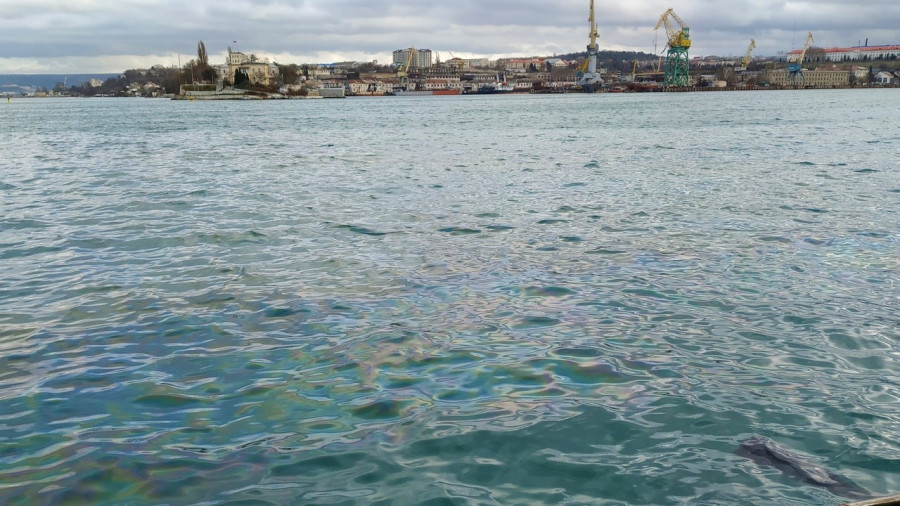 ForPost - Новости : Севастопольскую бухту полностью залили мазутом 