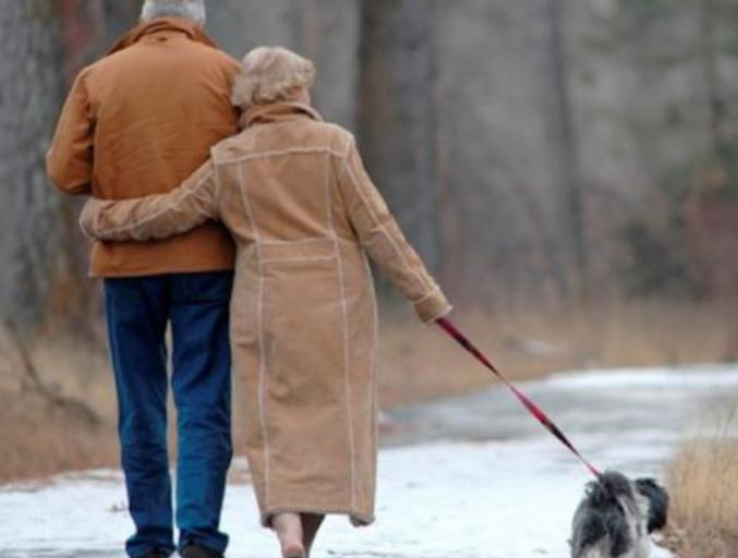 ForPost - Новости : Собаки москвичей живут лучше пенсионеров из провинции 
