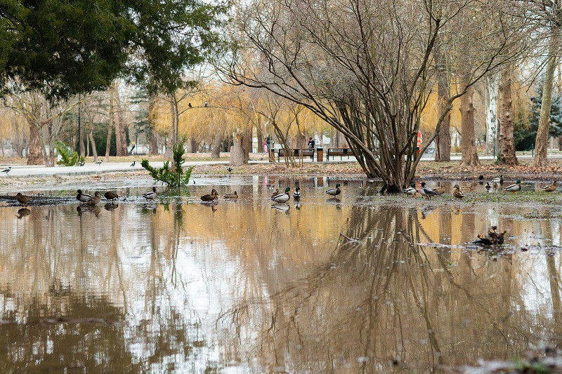 ForPost - Новости : Самый большой городской парк Крыма превратился в болото