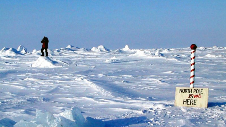 Save The Polar Bear's Polar bear, National geographic, National geographic photo
