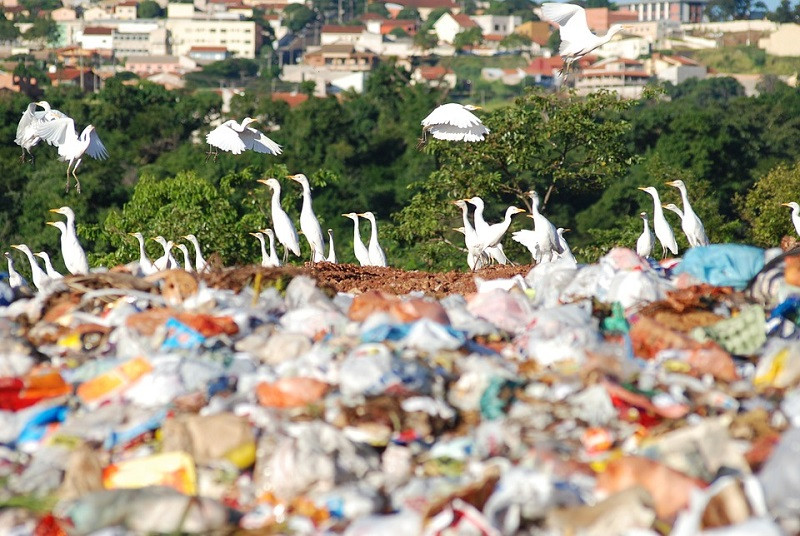 ForPost - Новости : Крымчан испугали созданием мусорной свалки в Армянске