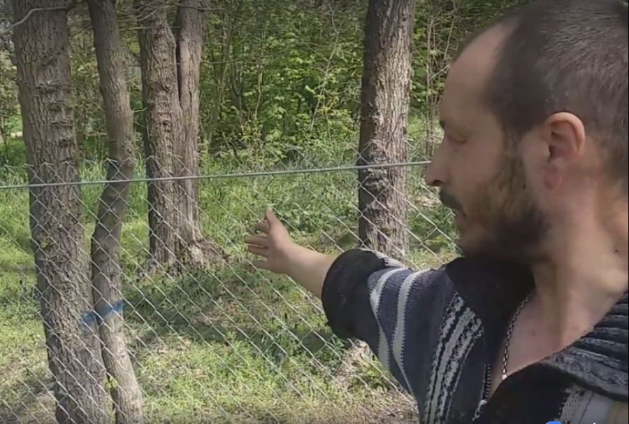 ForPost - Новости : Власти Севастополя пообещали снести странный забор в парке «Учкуевка» 