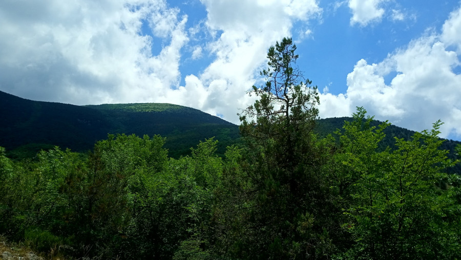 глава майкопского района. садик ст. севастопольский дом культуры и искусств майкопский район. ст. севастопольская адыгея.