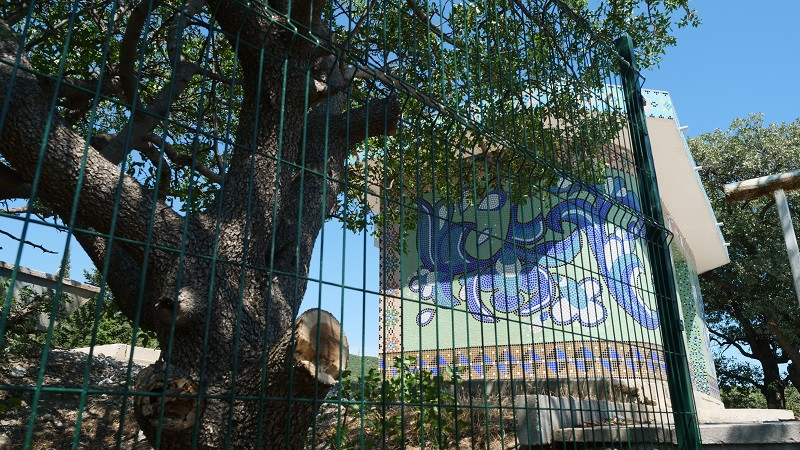 ForPost - Новости : Забор возле отеля «Мрия» в Крыму вырос снова