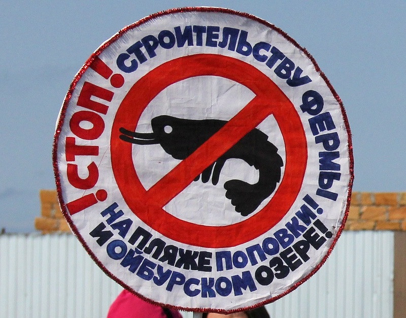 ForPost - Новости : Общественность Крыма победила в войне с креветочной фермой