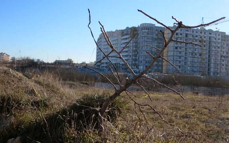 ForPost - Новости : Бесконечный триллер с бухтой Омега в Севастополе продолжается, — Развожаев