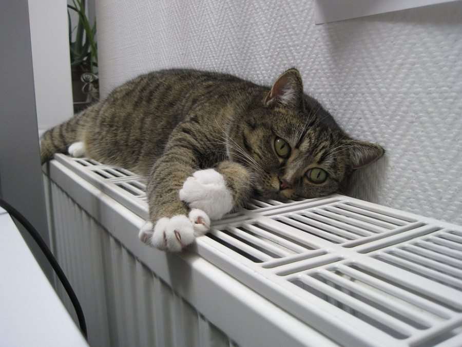 ForPost - Новости : Когда в Севастополе включат отопление