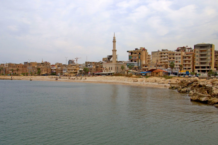 ForPost - Новости : Севастопольские учёные исследуют сирийский «остров сокровищ»