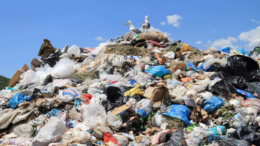 ForPost - Новости : Счет идет на дни: 16 российским регионам предрекли мусорный коллапс