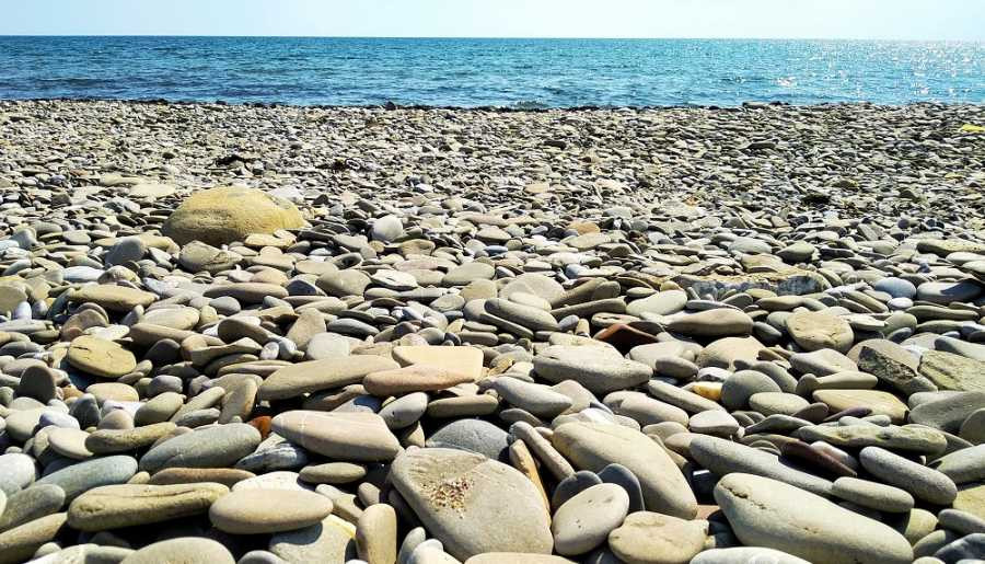 ForPost - Новости : В Севастополе три пляжа остались бесхозными