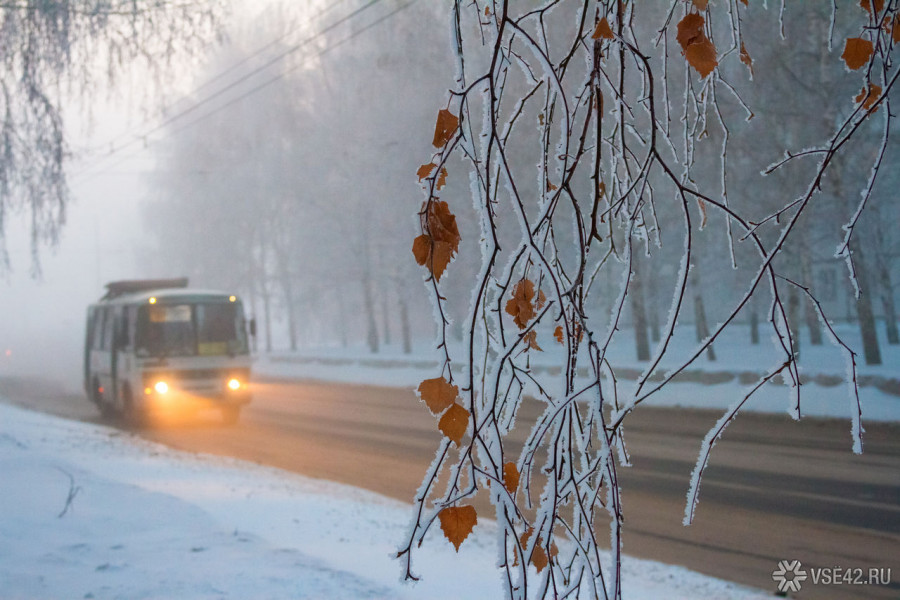 ForPost - Новости : Житель Новосибирска угостил горожан бесплатным проездом в маршрутке