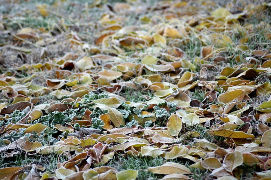 ForPost - Новости : Морозы и гололед ждут Крым в первую неделю зимы