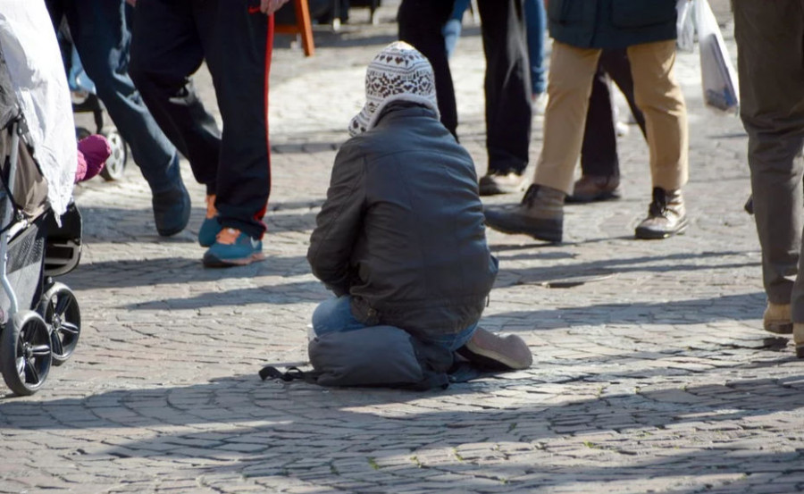 ForPost - Новости : Почему в Севастополе необходим приют для бездомных