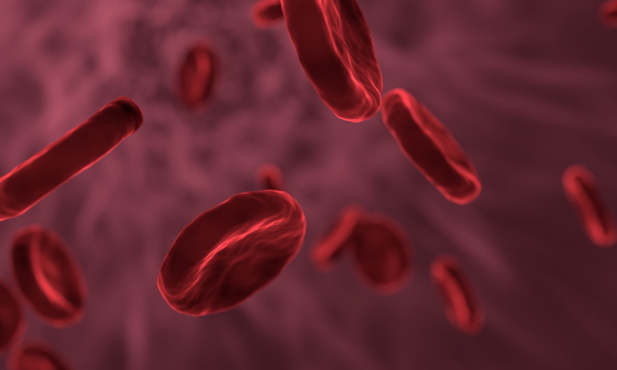 ForPost - Новости : Группа крови влияет на уязвимость к раку