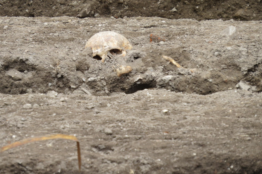ForPost - Новости : В Севастополе обнаружили херсонесита со «вторым скелетом»