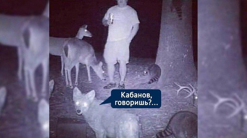 ForPost - Новости : Сбежавший с самоизоляции в лес крымский вице-премьер посыпал голову пеплом