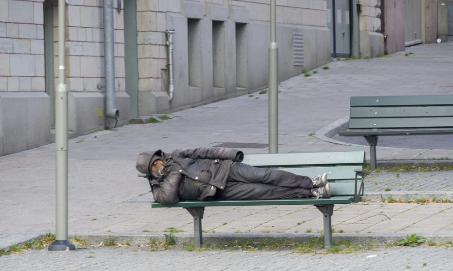 ForPost - Новости : В Севастополе наконец построят приют для бездомных