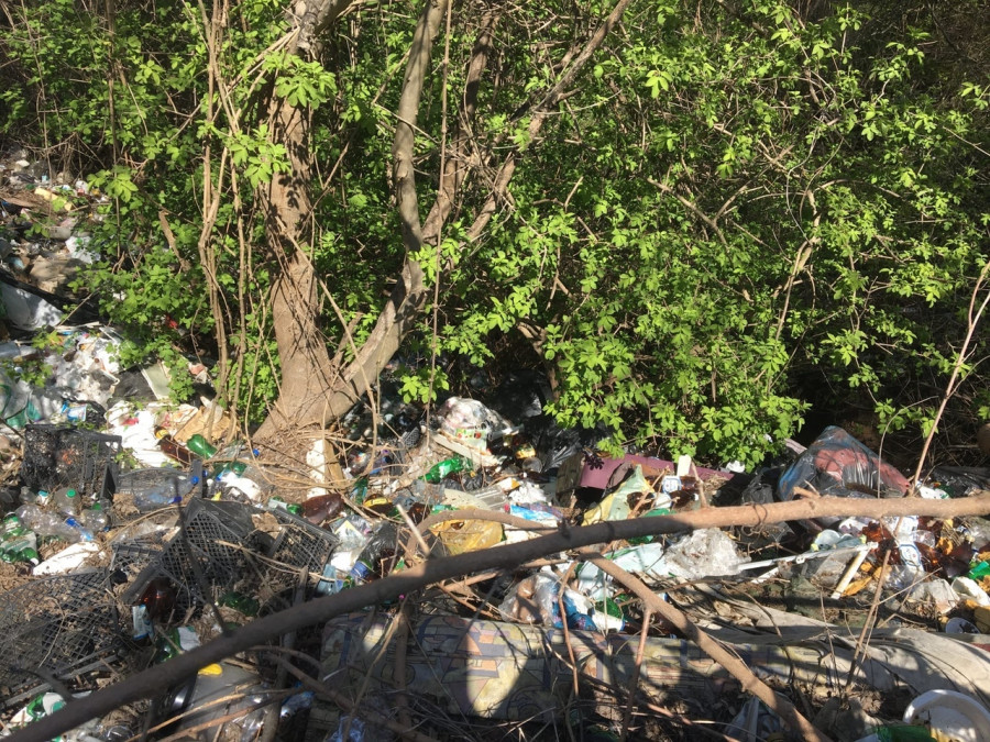 ForPost - Новости : Килен-балку в Севастополе превращают в мусорную свалку