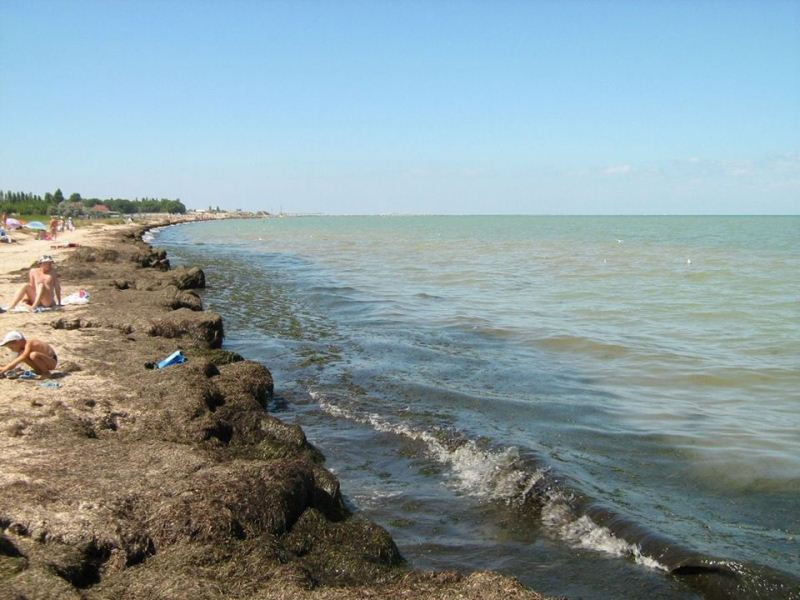 ForPost - Новости : В Крыму «гниют» песчаные пляжи