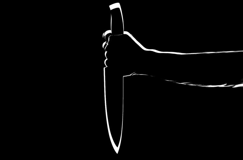 ForPost - Новости : ​Сменивший пол подросток 118 раз ударил свою мать ножом