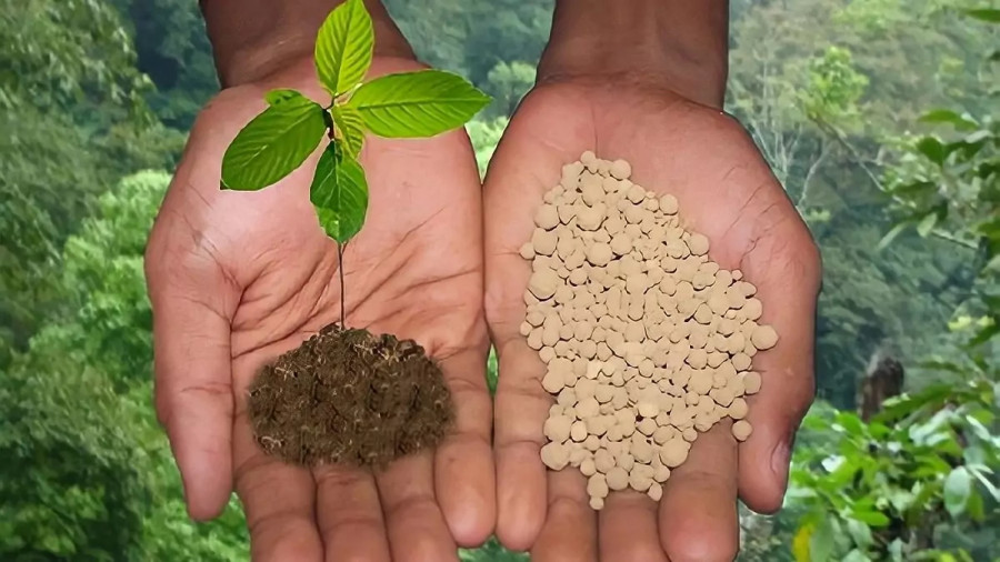 Дефицит фосфора может спровоцировать голод на Земле через 40 лет | ForPost