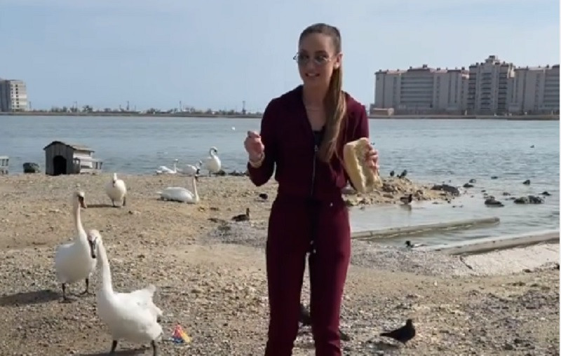 ForPost - Новости : Бузова покормила лебедей в Крыму запретной едой