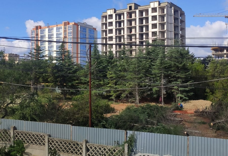 ForPost - Новости : Вырубка сотен деревьев в бухте Казачья законная, – Севприроднадзор