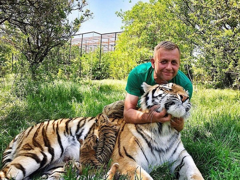 ForPost - Новости : Владелец крымского сафари-парка назвал виновного в нападении тигра на ребенка