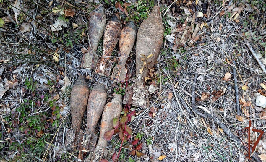ForPost - Новости : Грибники под Севастополем нашли в лесу кучу взведенных мин
