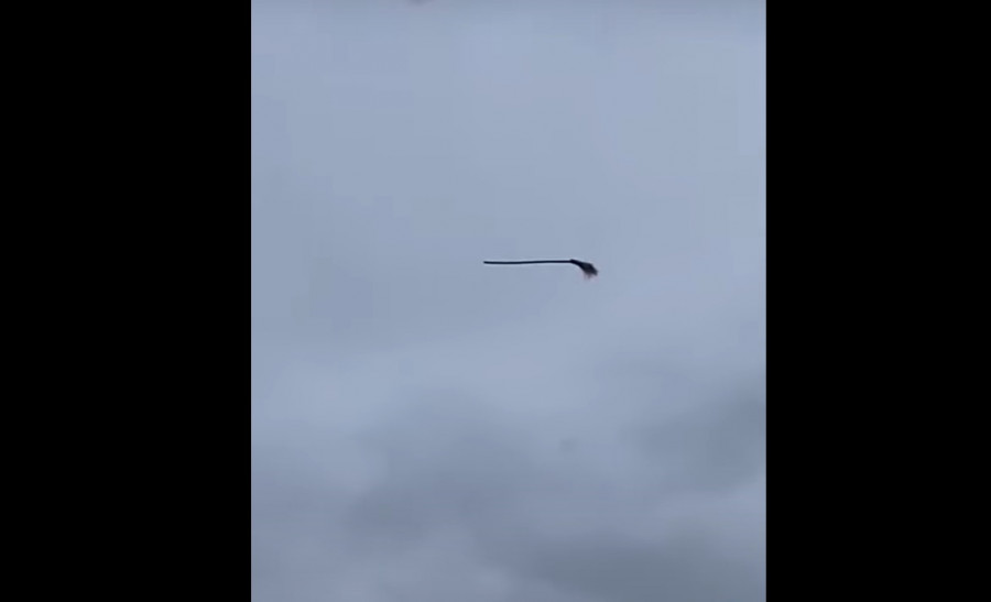 ForPost - Новости : Мужчина заявил, что снял летающую метлу. Видео