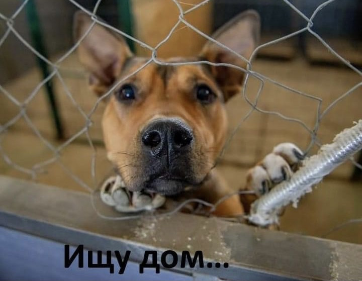 Что такое пор в севастополе. Смотреть фото Что такое пор в севастополе. Смотреть картинку Что такое пор в севастополе. Картинка про Что такое пор в севастополе. Фото Что такое пор в севастополе