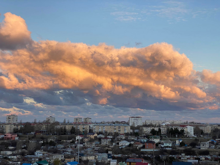 ForPost - Новости : СевСети #1374. Неубиваемый оптимизм и день сурка в Севастополе