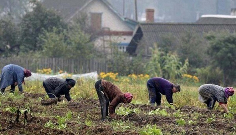 Новые Законы Для Садоводов В 2022 Году