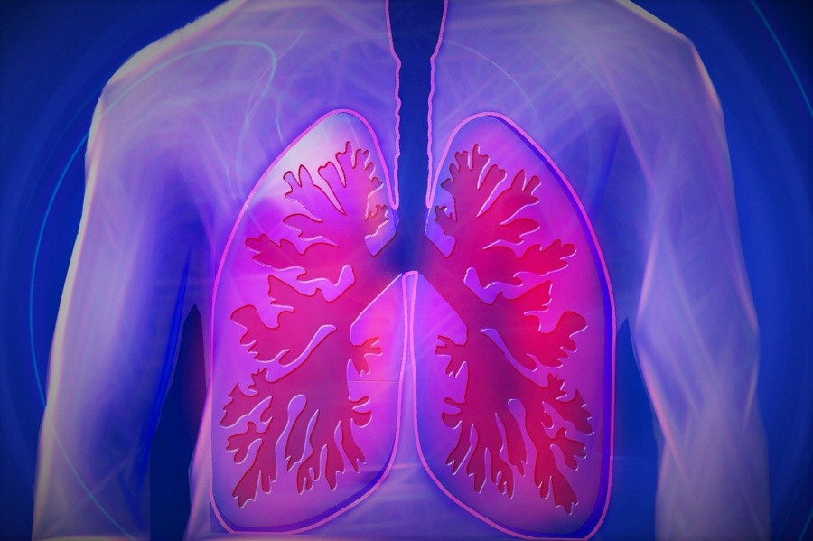 ForPost - Новости : По пальцам можно определить рак лёгких