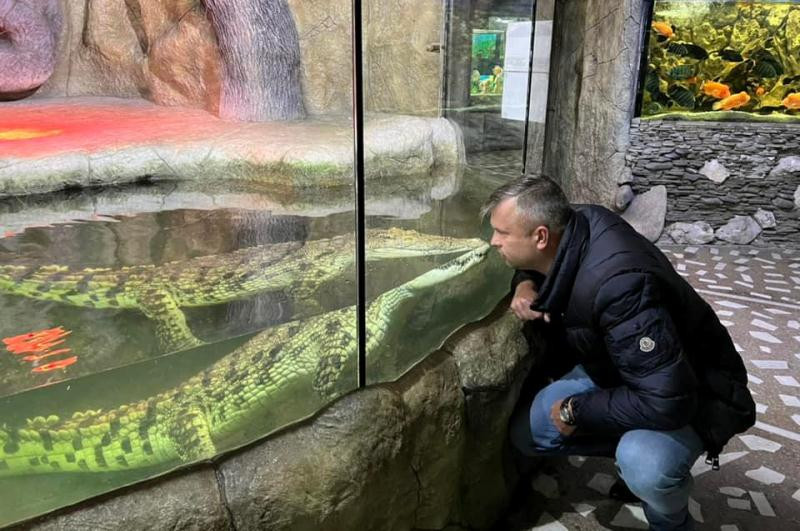 ForPost - Новости : В Крыму крокодиляриуму грозит закрытие из-за тесных вольеров