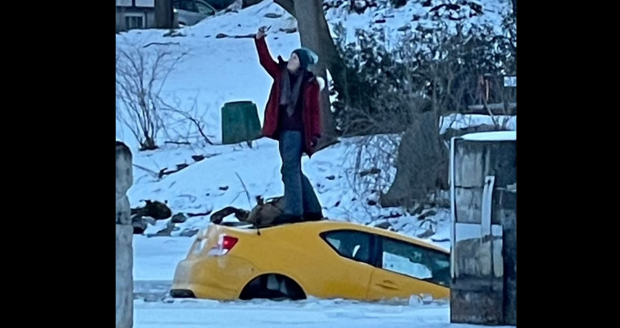 ForPost - Новости : Женщина сделала невероятные селфи на крыше автомобиля, тонущего в реке