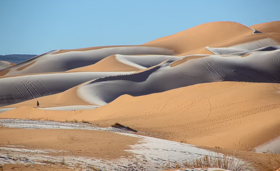 ForPost - Новости : В пустыне Сахаре зафиксировали очень редкое событие