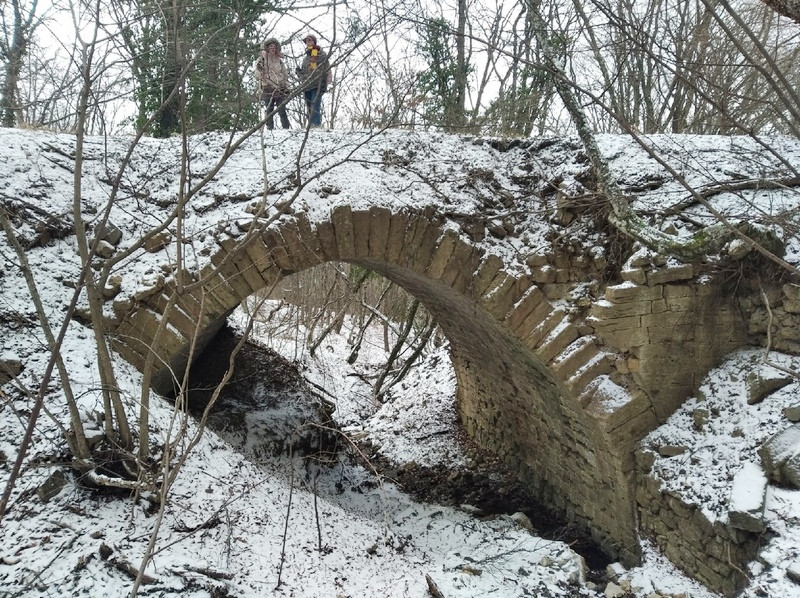 ForPost - Новости : В крымских лесах разрушается видевший Кутузова 200-летний мост