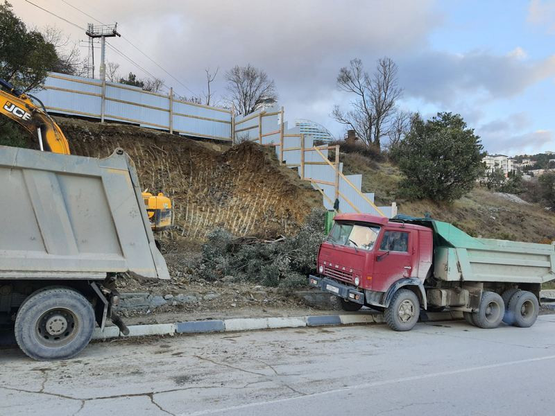 ForPost - Новости : На ЮБК под снос попала оливковая роща