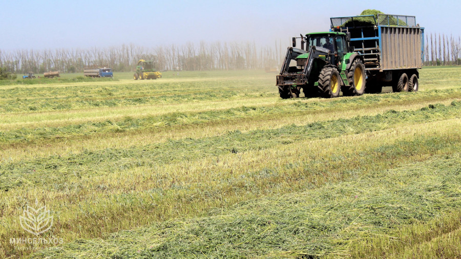 ForPost - Новости : Успехи крымских аграриев не вызывают головокружения