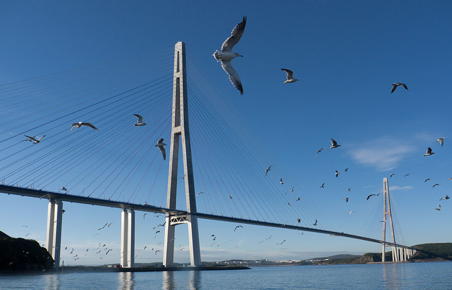 ForPost - Новости : Строительство моста через Севастопольскую бухту оценено в 63 миллиарда рублей 