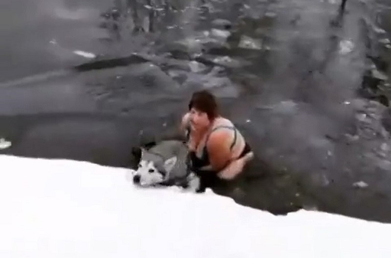 ForPost - Новости : Пенсионерка нырнула в ледяную реку за тонувшим хаски